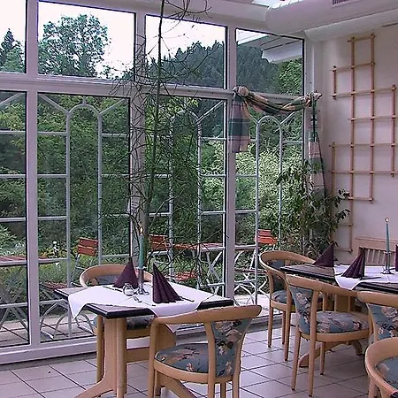 Landgasthof Zum Hirschenstein, Garni 3*