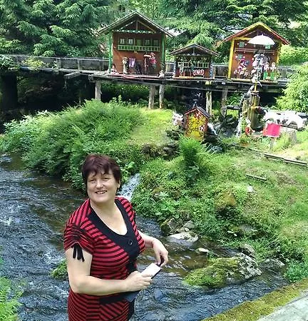 Landgasthof Zum Hirschenstein, Garni Sankt Englmar