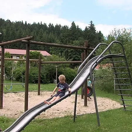 Penzion Landgasthof Zum Hirschenstein, Garni 3*